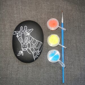 Colour me Beautiful Giraffe kit