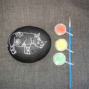 Colour me Beautiful Rhino kit