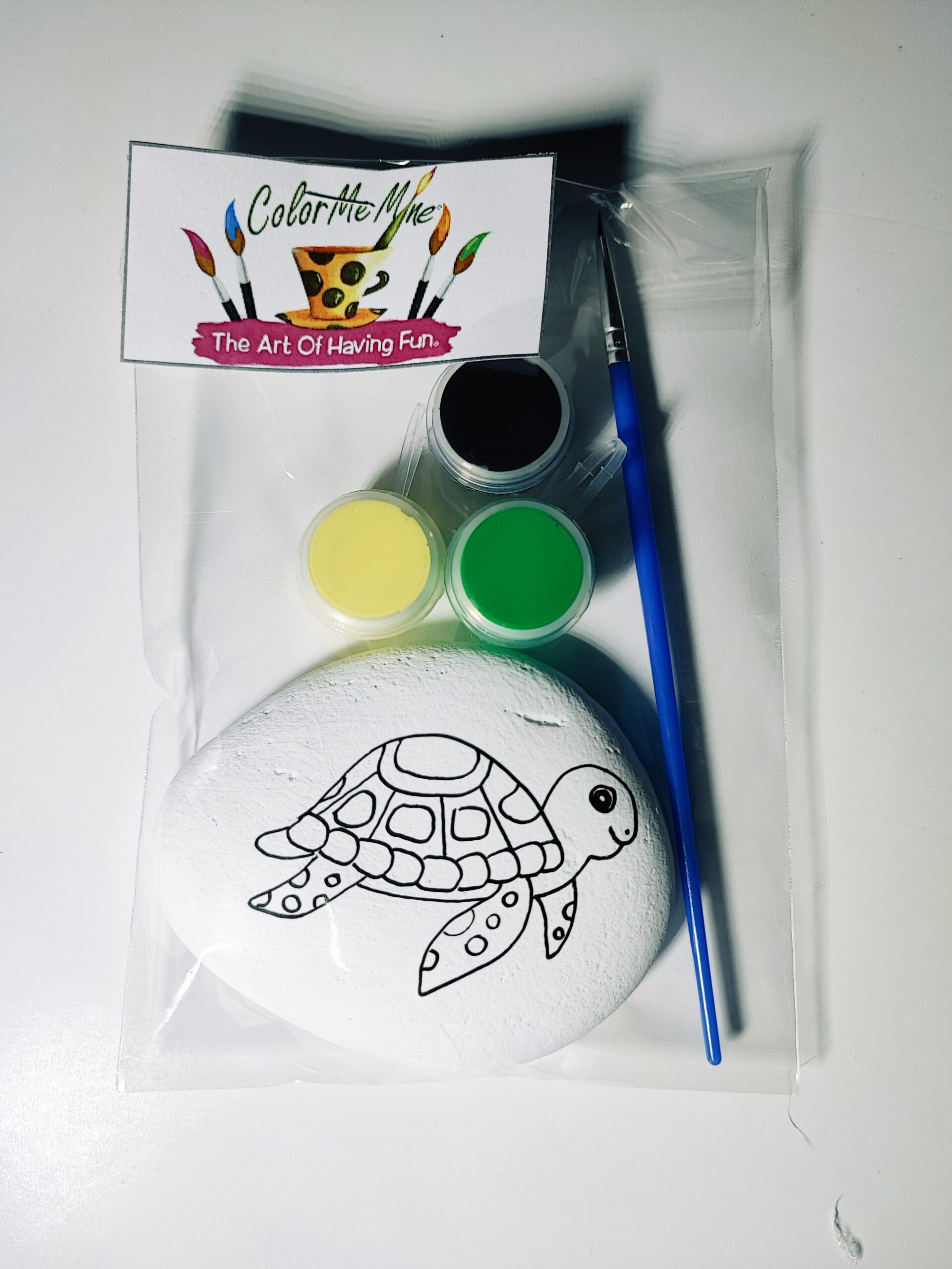 Mini Rock Art Kit - Turtle