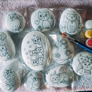 Bulk pack of 10 cats
